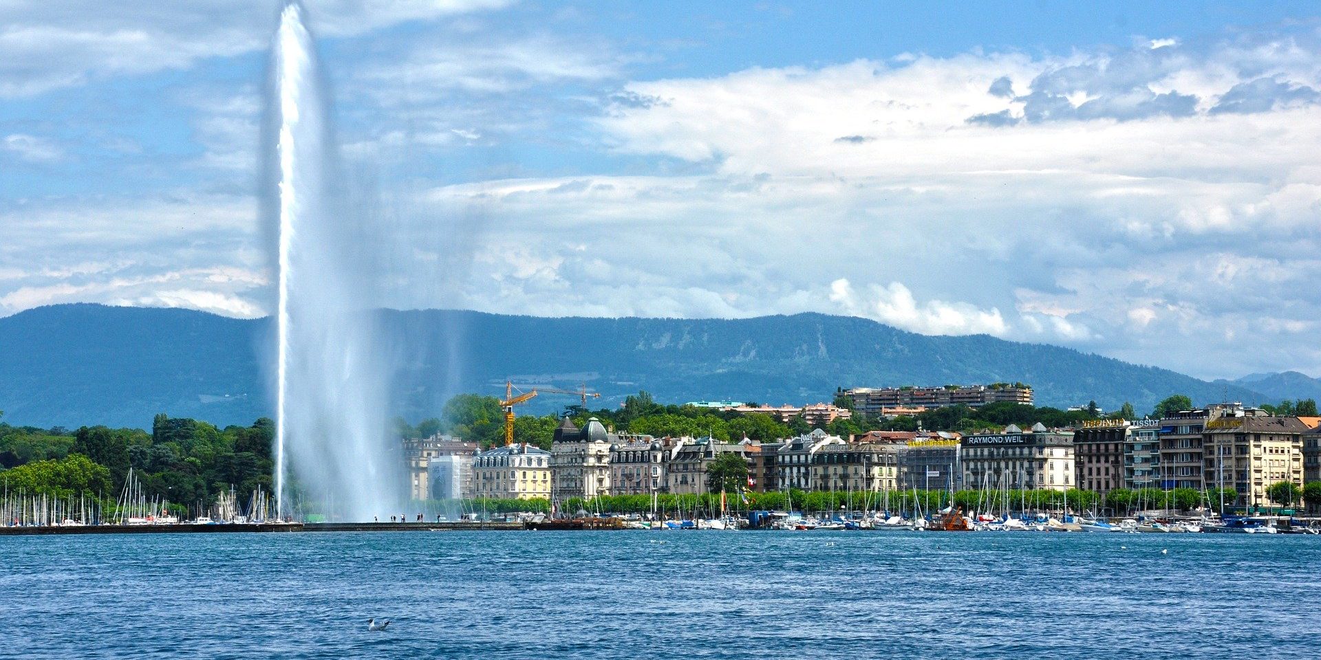 geneva-