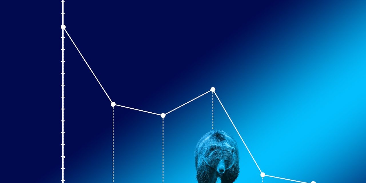 bear-market-4159033_1280