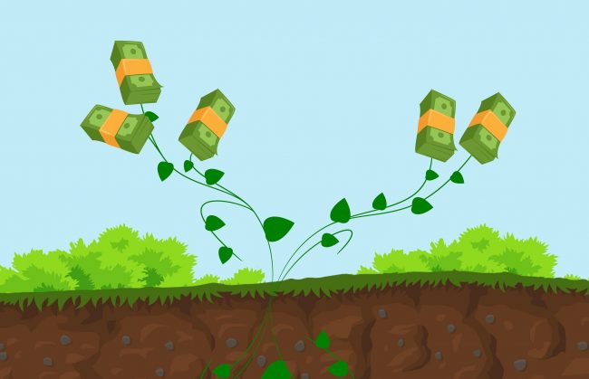 growing wealth