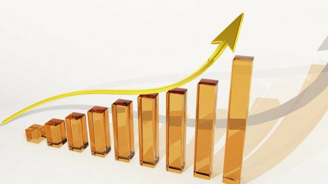 Safra-résultats 2020- croissance- stratégie payante