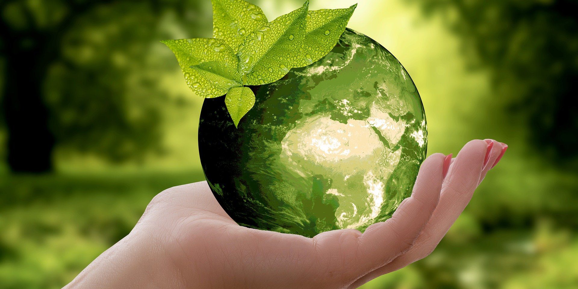 investment-green-sustainable- growth
