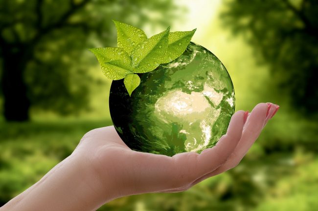 investment-green-sustainable- growth