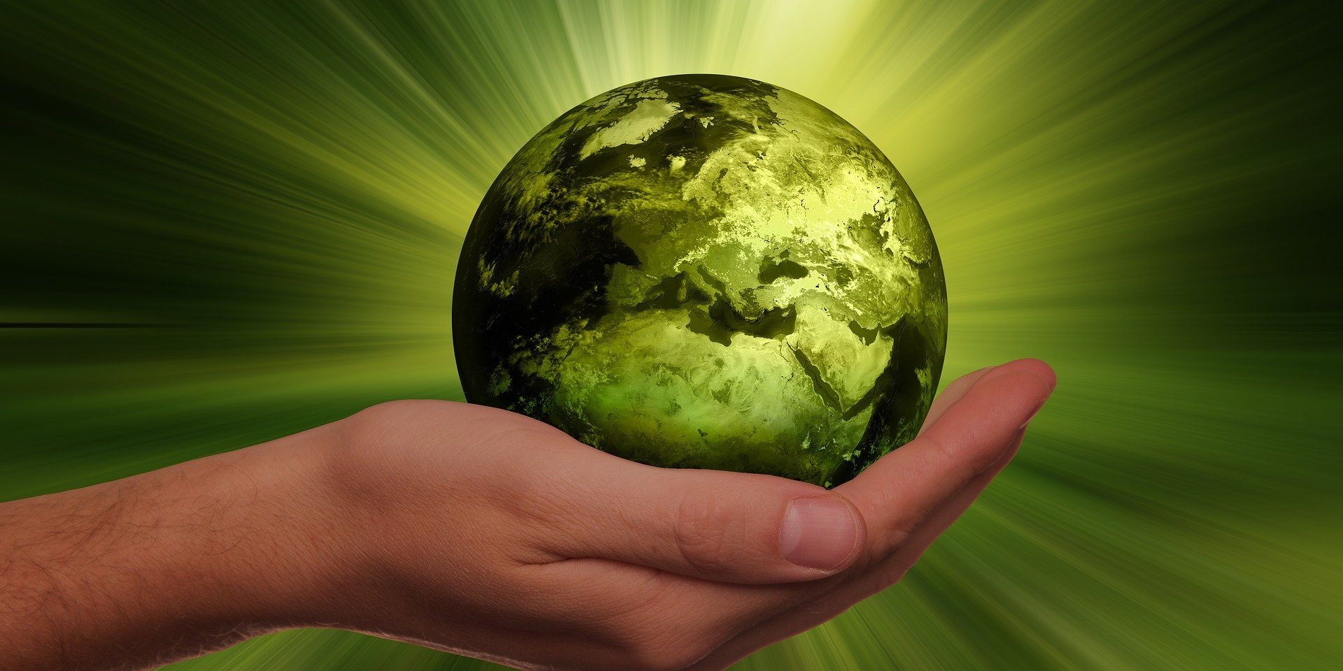 sustainability-invest for the planet-funds -asset management