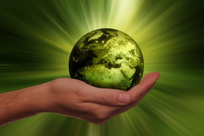 sustainability-invest for the planet-funds -asset management