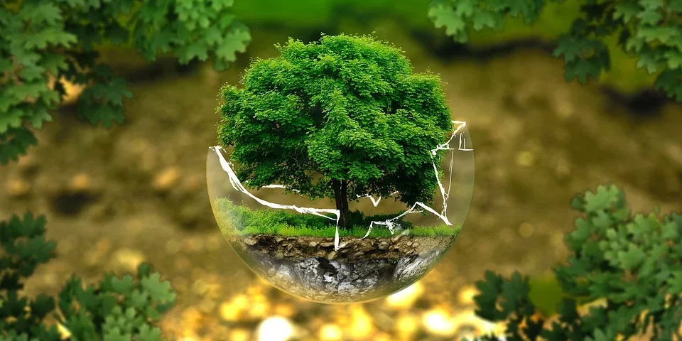 environmental-protection-326923_960_720