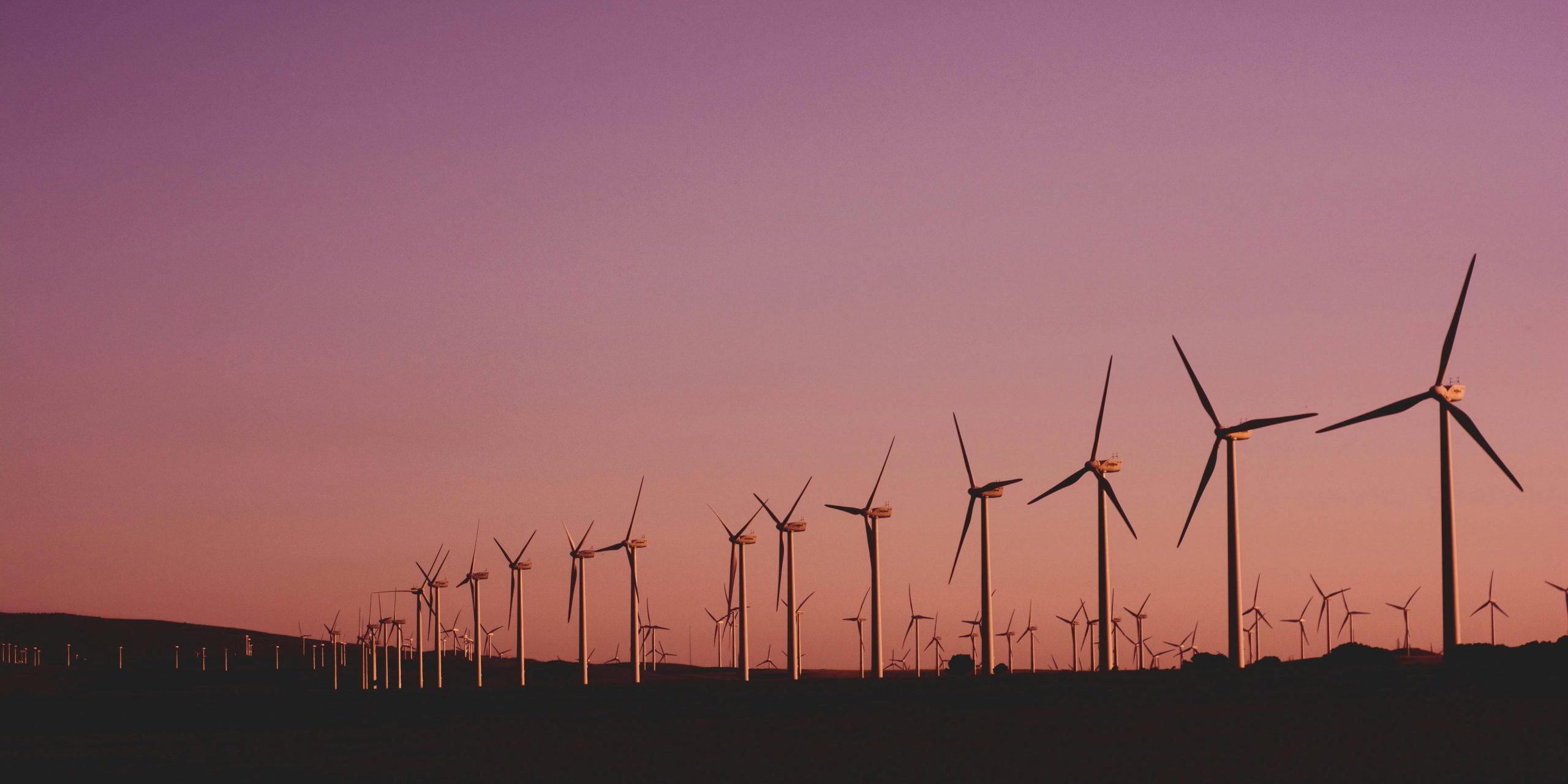 pexels-narcisa-aciko-541222-1292464